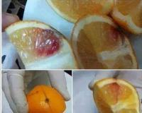 Le sida dans des oranges